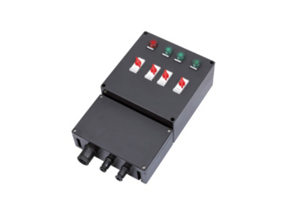 BDMX8050-系列防爆防腐控制箱（ⅡB、ⅡC、tD）